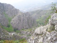 /album/galeria-de-fotos/a100-3142-jpg/