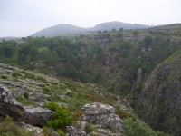 /album/galeria-de-fotos/a100-3146-jpg/