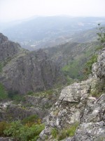 /album/galeria-de-fotos/a100-3147-jpg/