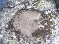 /album/galeria-de-fotos/a100-3149-jpg/