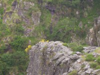 /album/galeria-de-fotos/a100-3156-jpg/