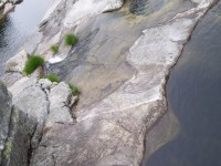 /album/galeria-de-fotos/a100-3196-jpg/