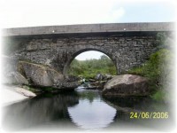 /album/galeria-de-fotos/nk5sje125484-02-jpg/