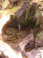 /album/galeria-de-fotos/dsc04180-jpg/