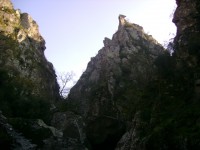 /album/galeria-de-fotos/dsc00985-jpg/