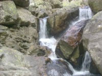 /album/galeria-de-fotos/dsc00982-jpg/