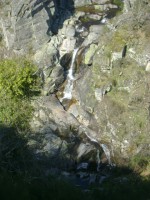 /album/galeria-de-fotos/dsc00921-jpg/